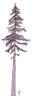 Roxton Tree Services